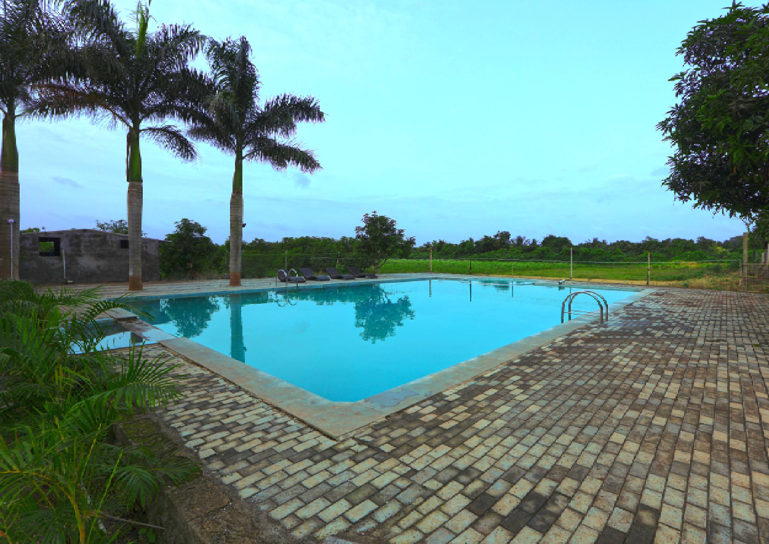 Gir Night Resort — gallery photograph 17
