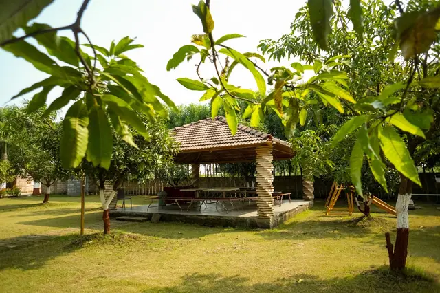 Gir Night Resort — by day, photograph 14