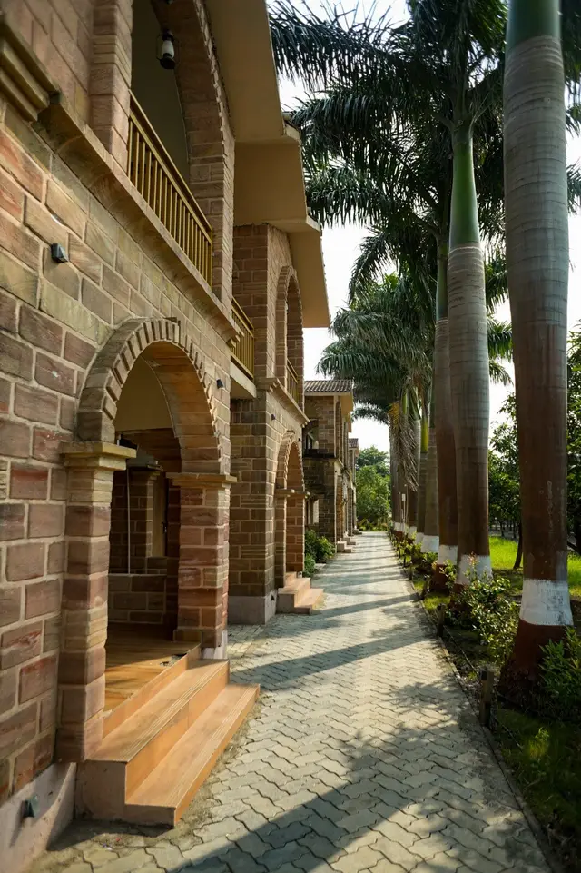 Gir Night Resort — gallery photograph 7